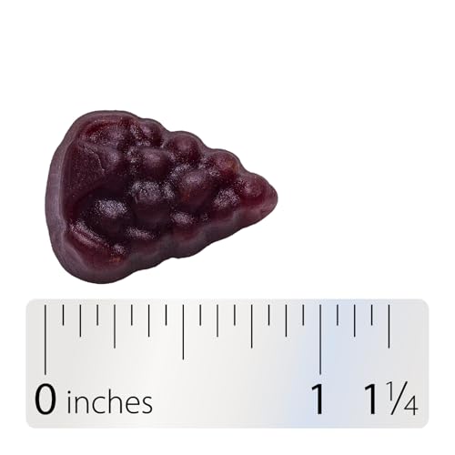 Nature’s Way Sambucus Elderberry Immune Support Gummies for Kids & Adults* with Black Elderberry Extract, Vitamin C, Vitamin D3, and Zinc, 60 Gummies (Packaging May Vary)