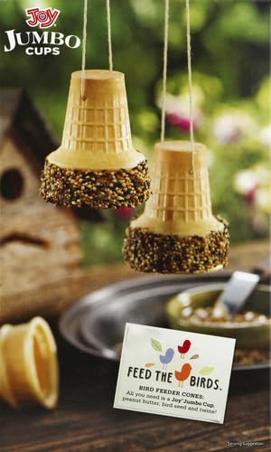 JOY JUMBO CAKE ICE CREAM CONES 2.75 OZ