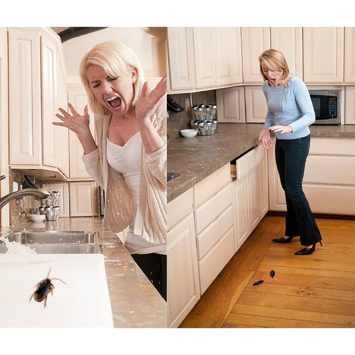 Riomeira Premium Fake Cockroaches, Pretty Realistic Fake Roaches, Great Way to Play a Prank, Faux Cockroaches Lifelike Creepy Perfect for Halloween Project, Tricking People, Kid Playing (15PCS)