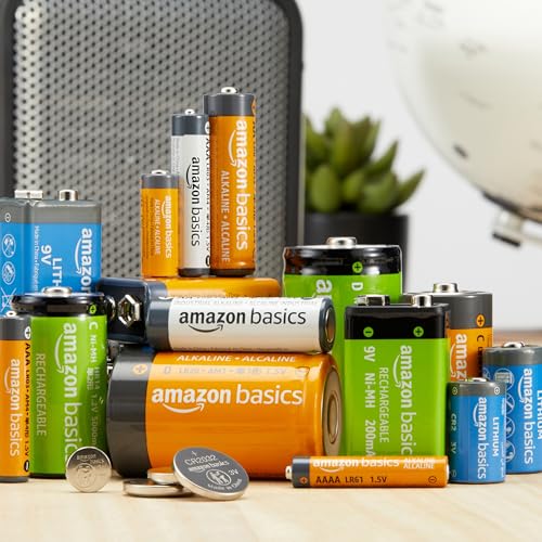 Basics 4-Pack C Cell Alkaline All-Purpose Batteries, 1.5 Volt, 5-Year Shelf Life
