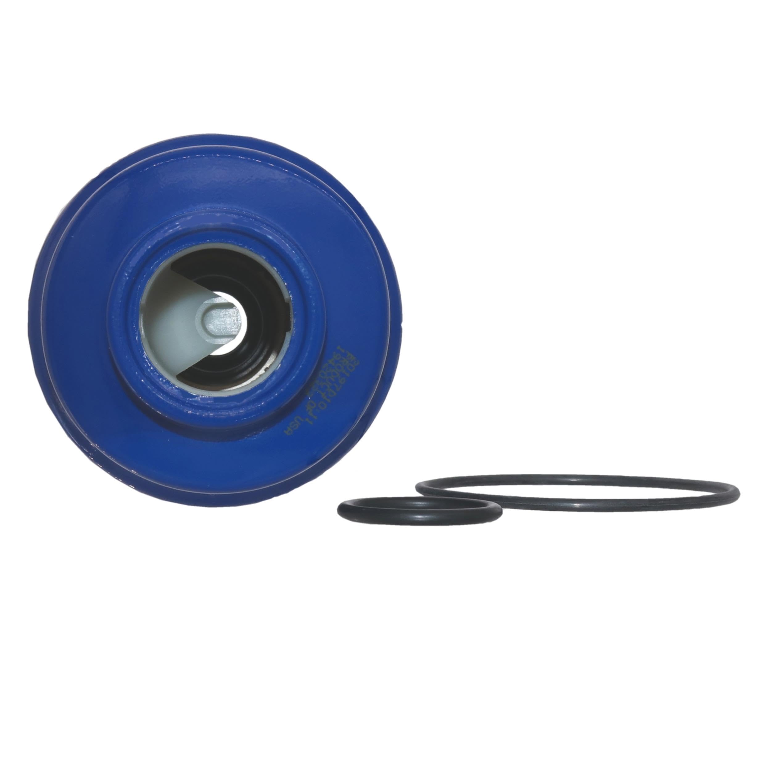 GM Parts GM Genuine Parts TP3018 (19431541) Fuel Filter Kit
