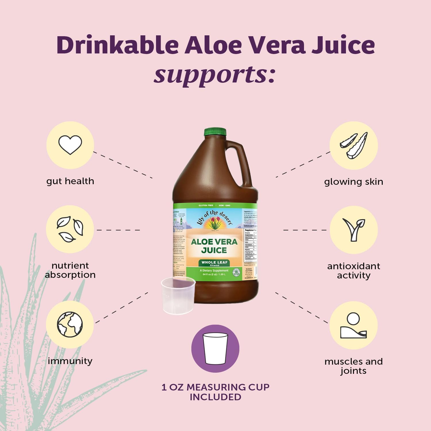 Lily Of The Desert Aloe Vera Juice - Whole Leaf Filtered Aloe Vera Drink, Non-GMO Aloe Juice with Natural Digestive Enzymes for Gut Health, Stomach Relief, Wellness, Glowing Skin, 64 Fl Oz