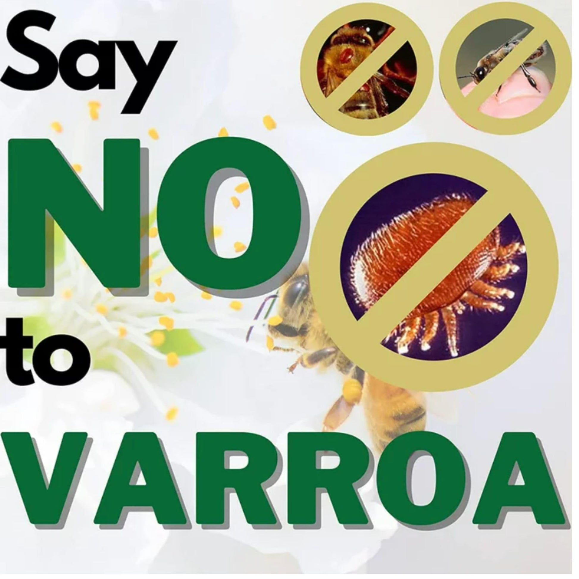 Vita Bee Health Apiguard – Natural Varroa Mite Treatment for Honey Bee Hives – 10 x 50g Thymol Gel Trays – Easy Application, Beekeeper-Trusted, Bee-Friendly, Plant-Based Protection
