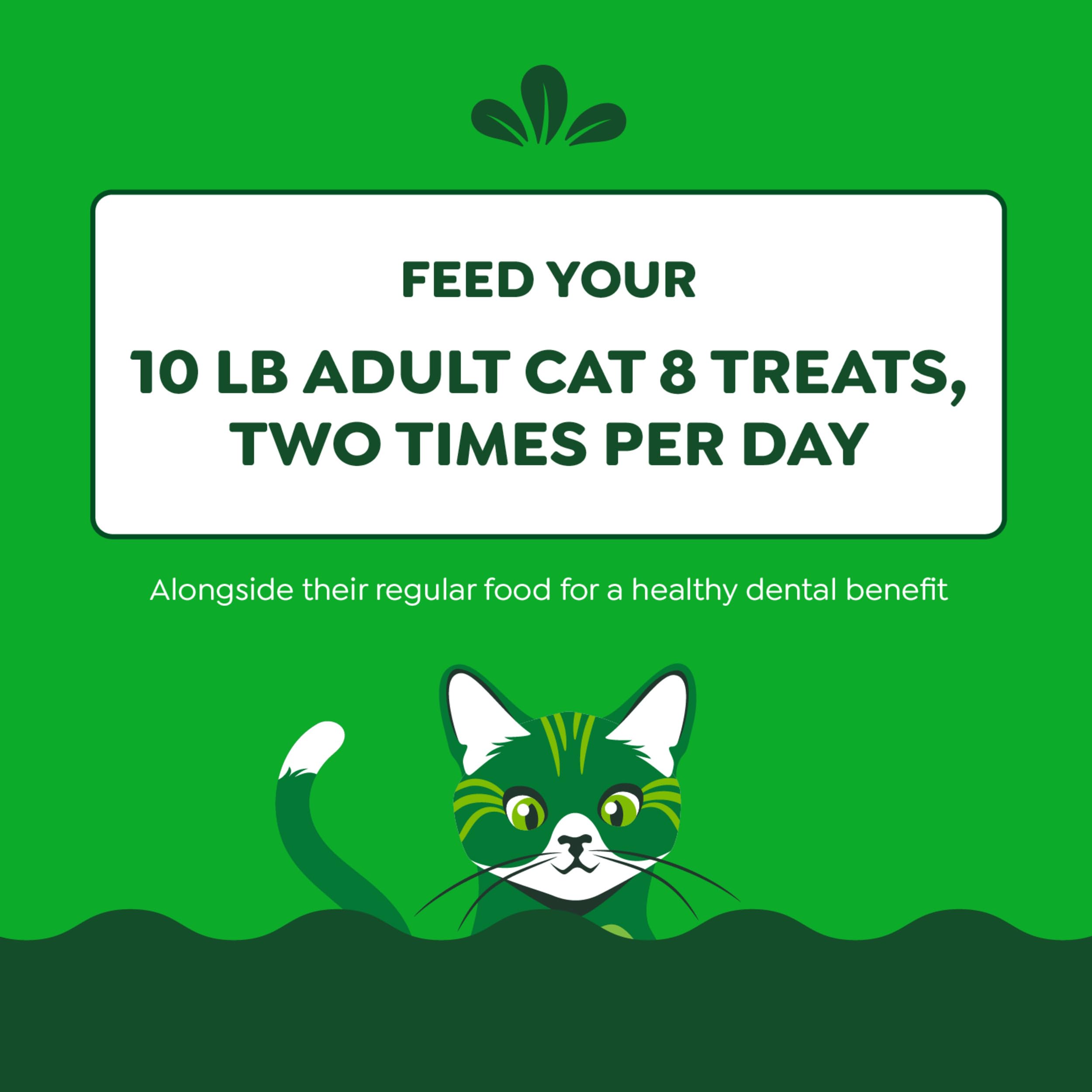 Greenies Feline Adult Dental Cat Treats, Oven Roasted Chicken Flavor, 9.75 oz. Tub