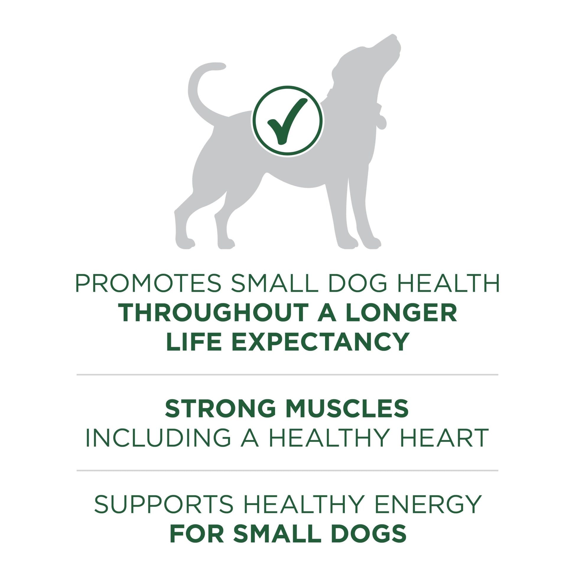 Purina ONE Plus Small Breed Lamb and Rice Formula Dry Dog Food - 7.4 lb. Bag