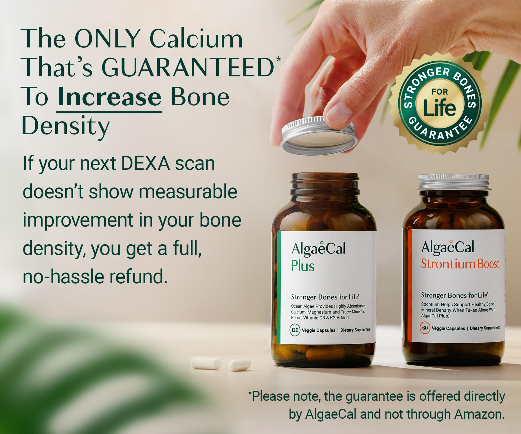 AlgaeCal - Bone Builder Pack for Bone Density Increase, Clinically Supported Plant Based Calcium Supplement & Strontium, Vitamins K2 (100mg), D3 (1600 IU), Magnesium & 16 Essential nutrients
