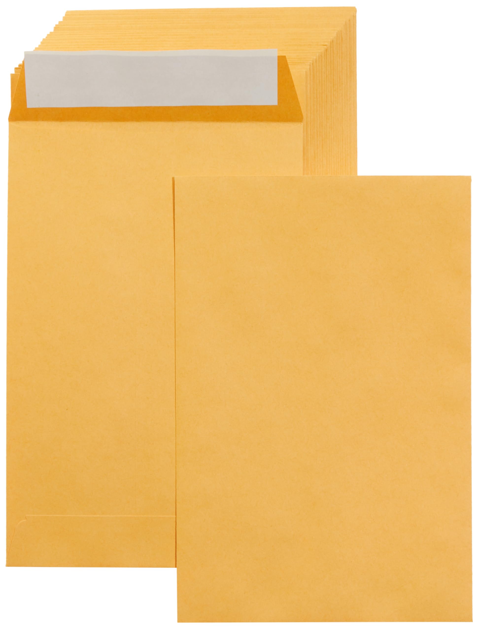 Basics Self Adhesive Catalog Mailing Envelopes, Peel and Seal, 6x9 Inch, Brown Kraft, 100-Pack