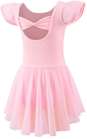 Mecceos Ballet Leotards with Skirt for Toddler Girls Dance Ruffle Ballerina Dresses Outfits (Ballet Pink, 4-6 Years, MEAM-251)
