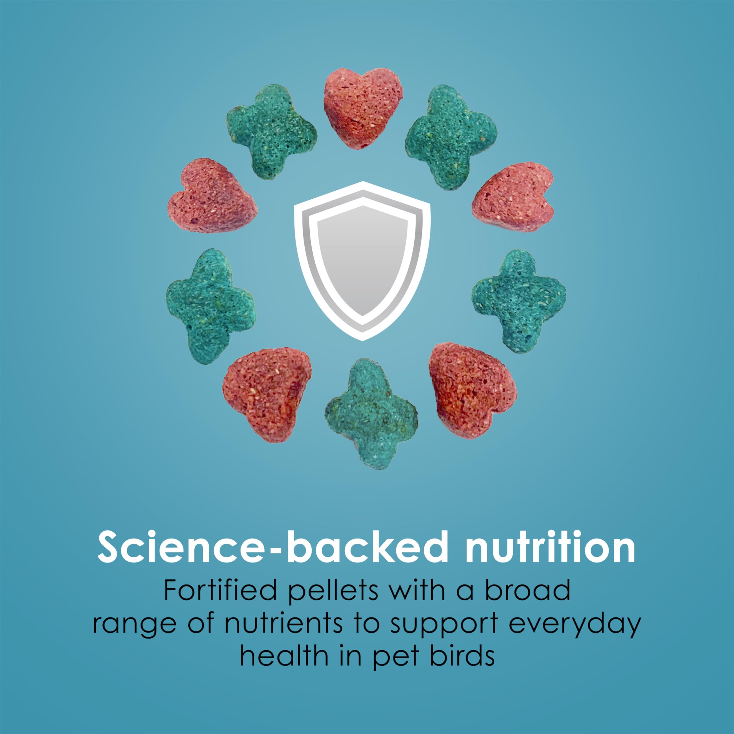 Kaytee Forti-Diet Pro Health Nourish+Protect Conure & Lovebird Food, Comprehensive Nutrition Backed by Science, Digestive Health, Immune Support, 4 pounds