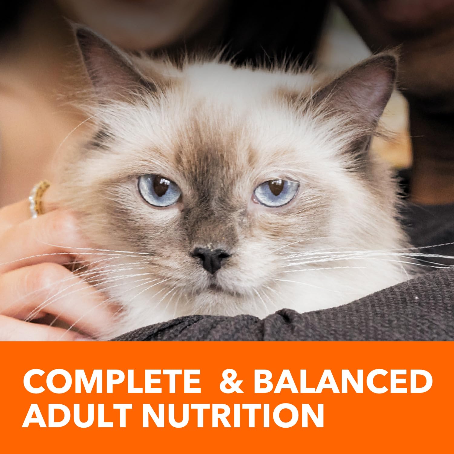 IAMS Proactive Health Adult Healthy Dry Cat Food with Chicken, 7 lb. Bag