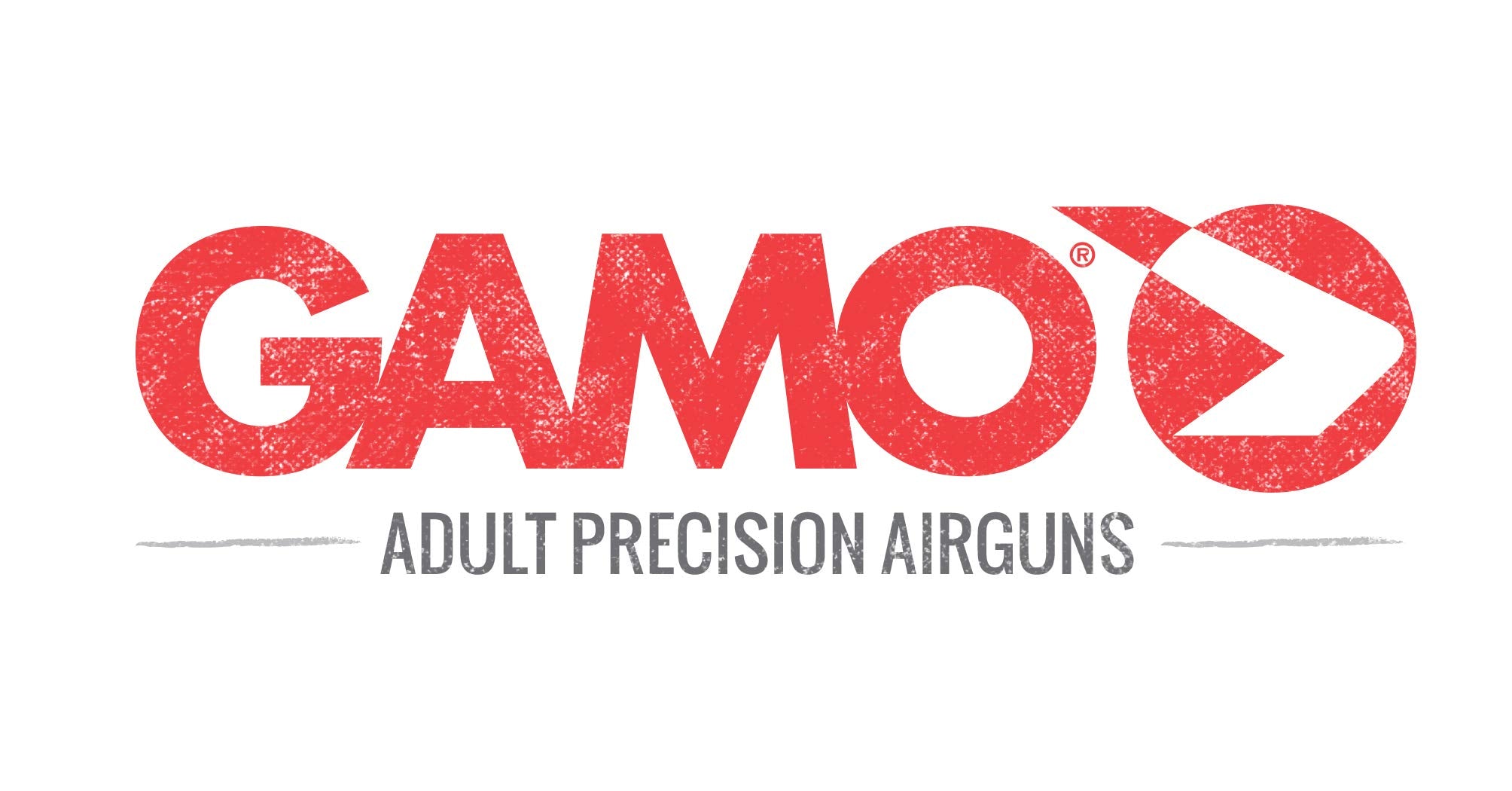 Gamo Combo Pack Assorted Air Rifle Pellets, .22 Caliber (TS-22, Hunter, Magnum, Master Point)