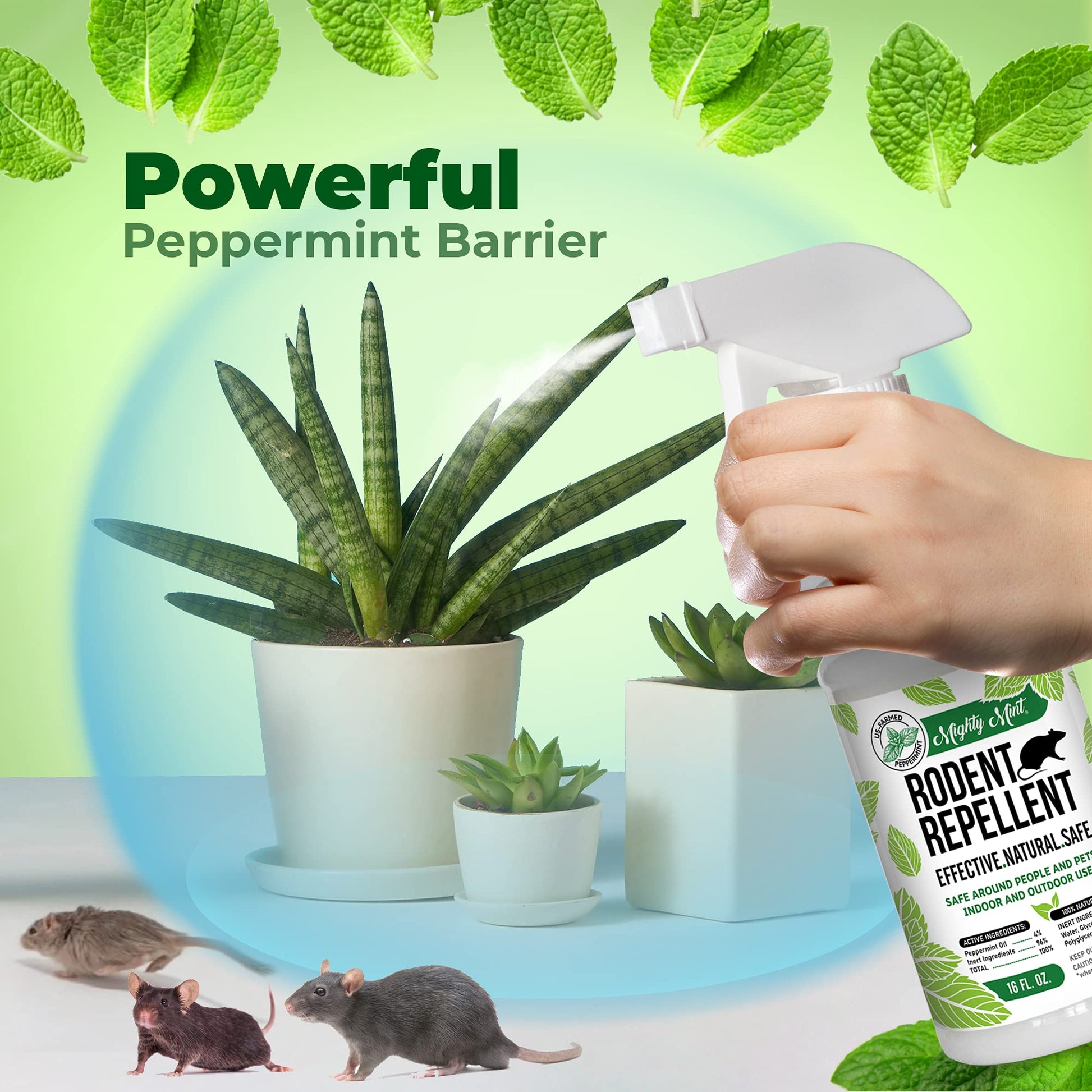 Mighty Mint Peppermint Oil Rodent Repellent Spray – Natural Indoor & Outdoor Control for Mice and Rats – Plant-Based, Extra-Strong Formula - 16 oz