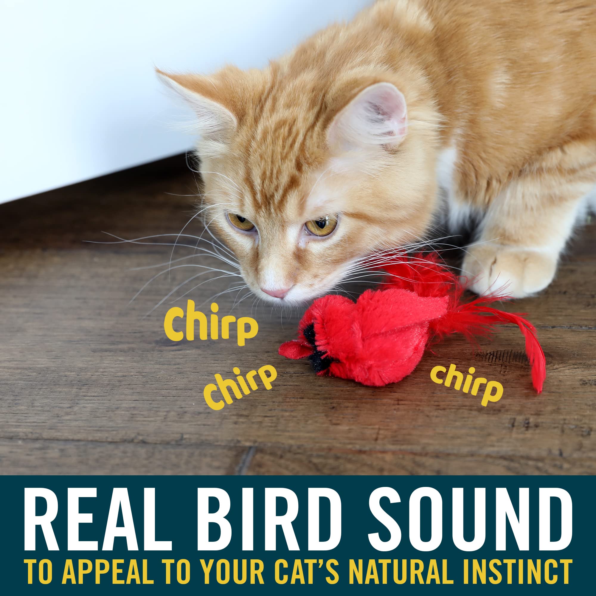OurPets Play-N-Squeak Real Birds Interactive Cat Toys with Catnip (Cat Toys for Indoor Cats; Catnip Toy for Cats with Bird Chirping Electronic Sound and Feather)