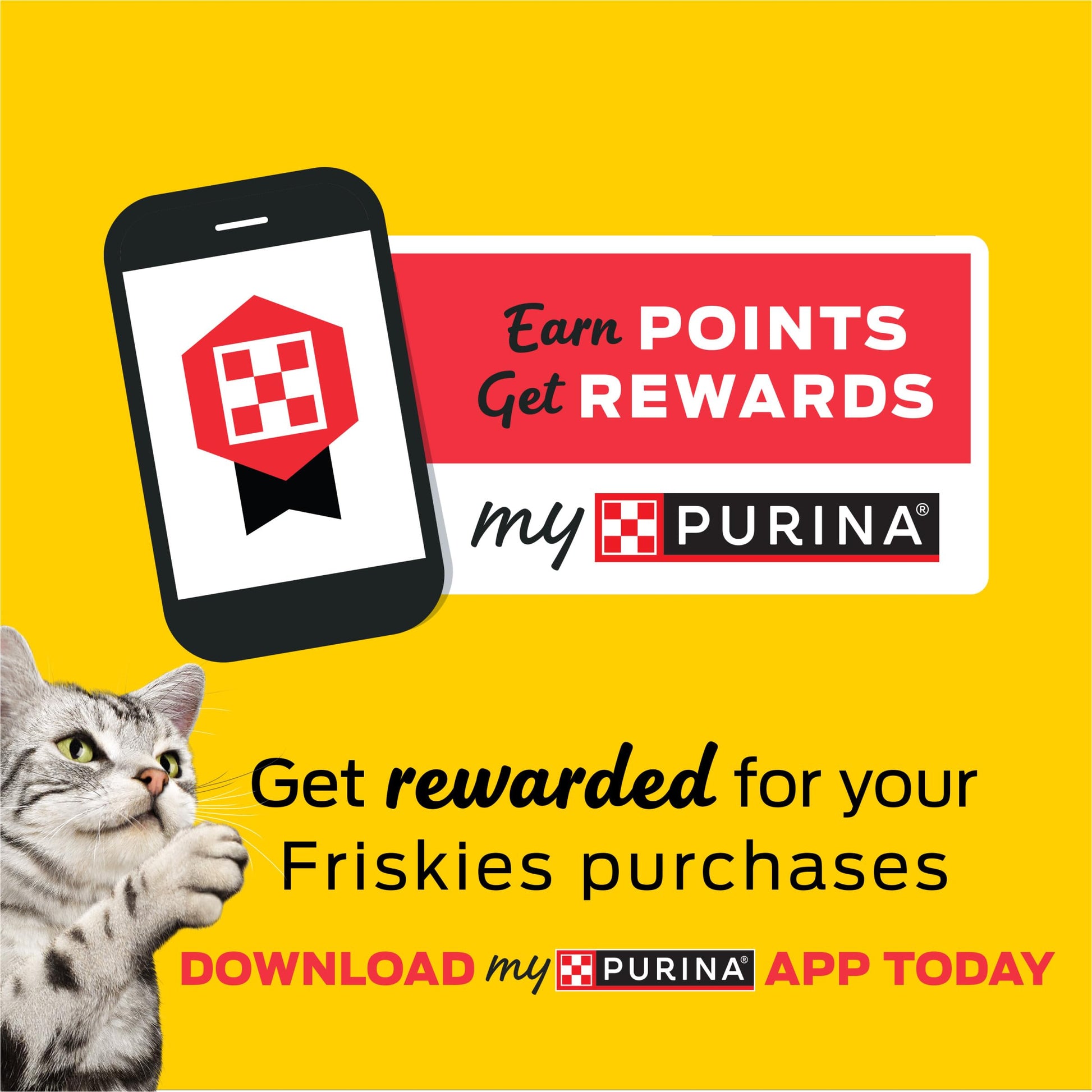 Purina Friskies Grain Free Lickable Cat Food Toppers Lil’ Soups With Sockeye Salmon in Chicken Broth - (Pack of 8) 1.2 oz. Cups