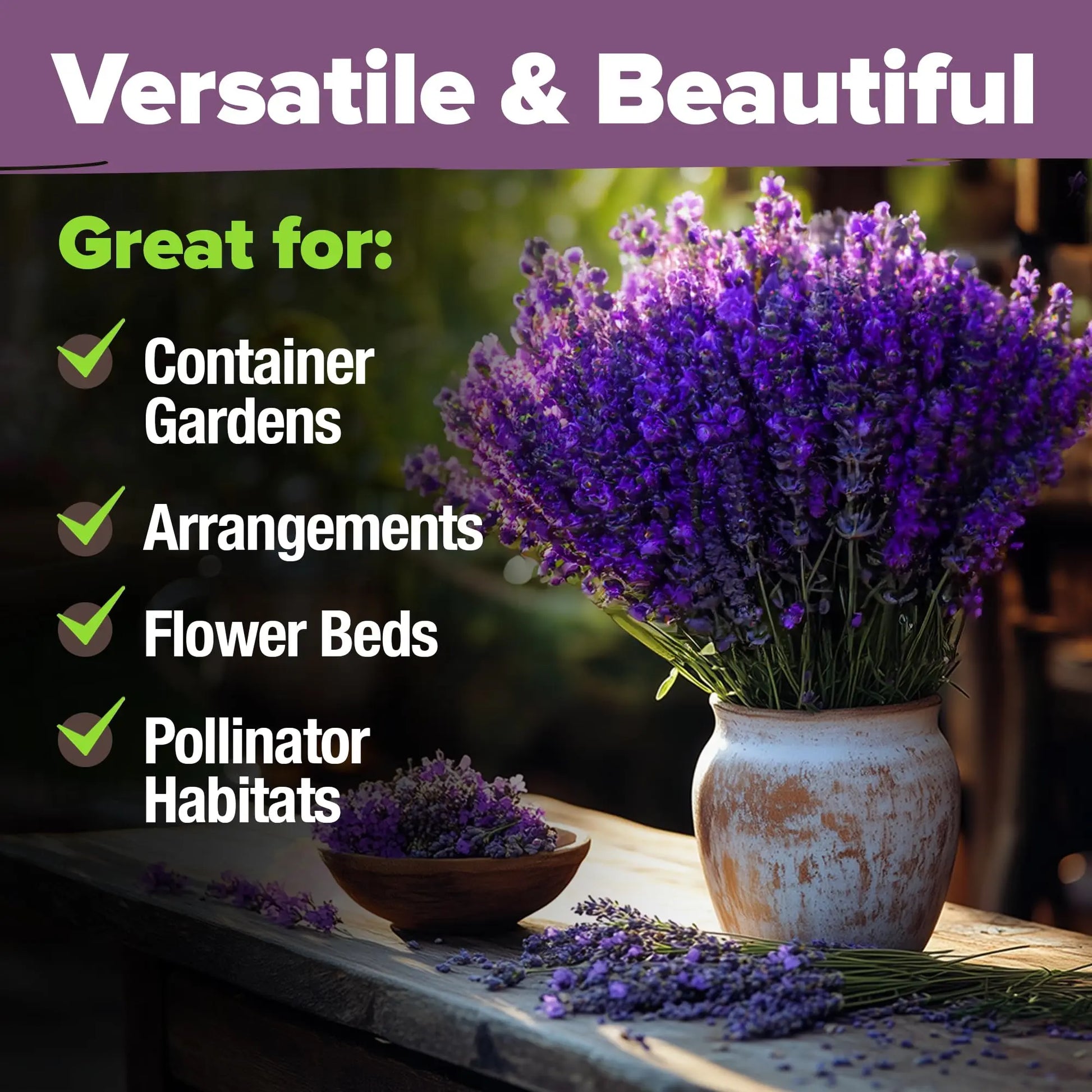 {{Product title}} | Buy from the USA & Ship Worldwide | 2PriceTags
