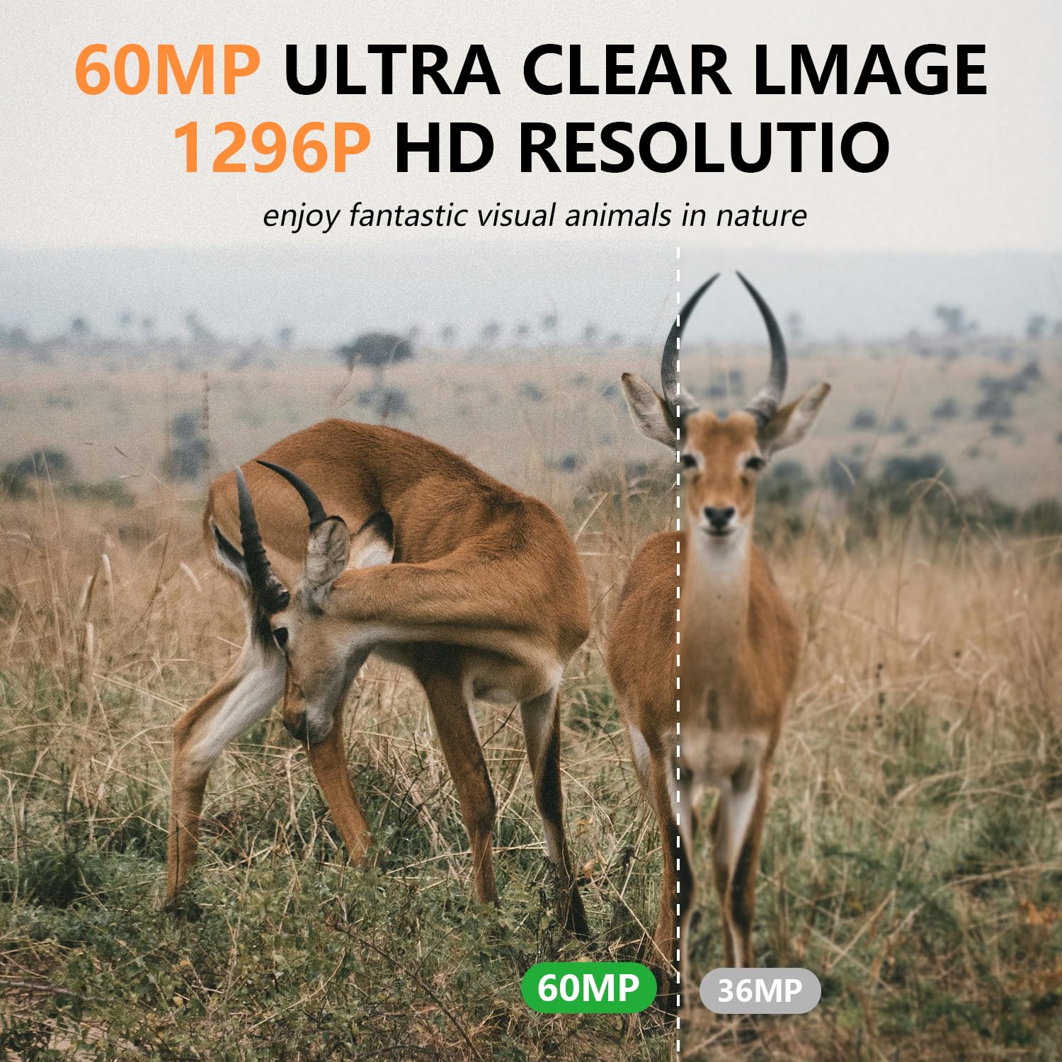 LANTOOCAM Trail Camera, 60MP Hunting Camera with WiFi, 32GB TF Card, Night Vision, Motion Activated, IP66 Waterproof, 120°Wide-Angle for Deer Scouting or Home Security, APP Control, H.264 MP4 Video