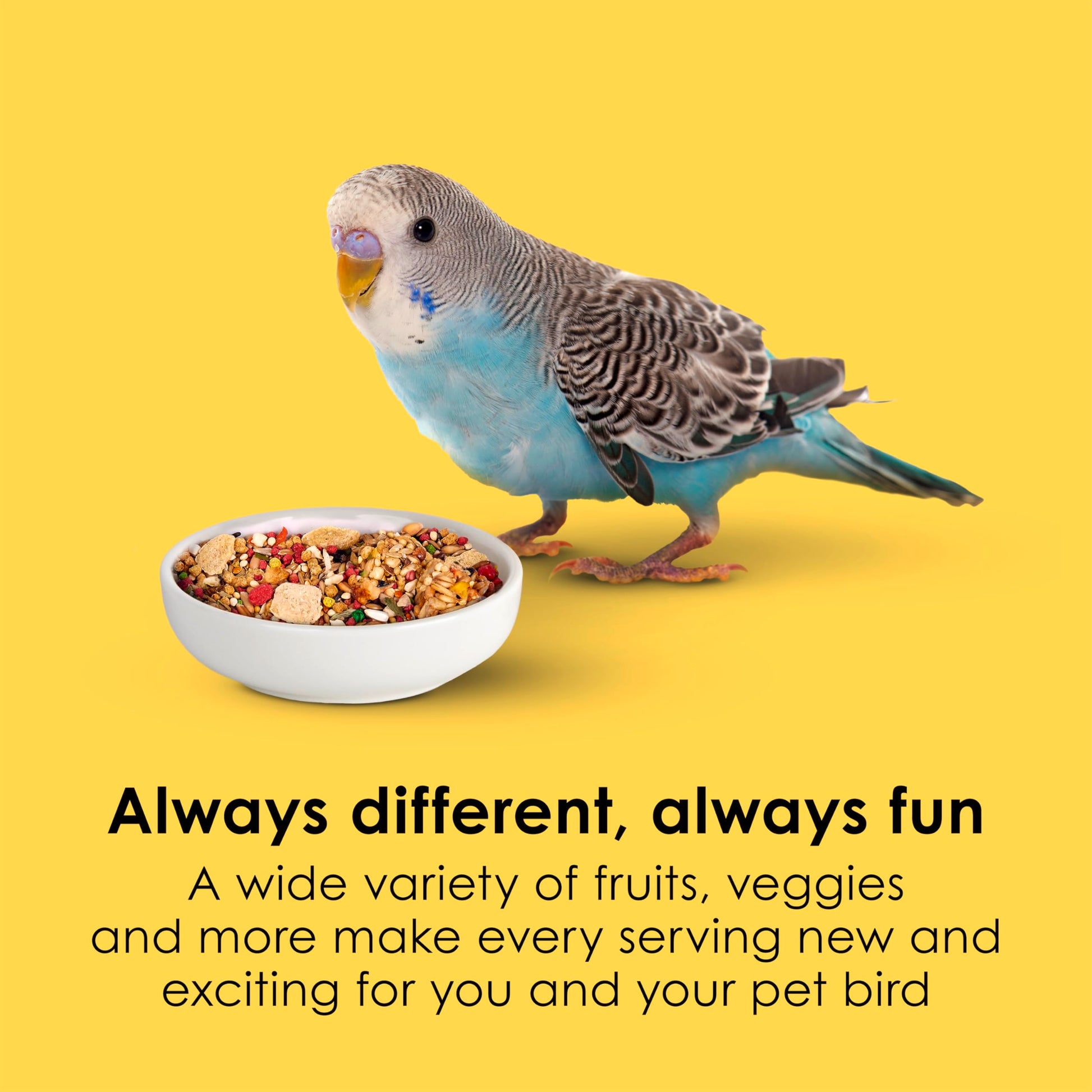 Kaytee Fiesta Parakeet Food, Nutritious and Fun Blend, Supports Skin, Feather, Digestion, Brain and Heart Health, 2 pounds