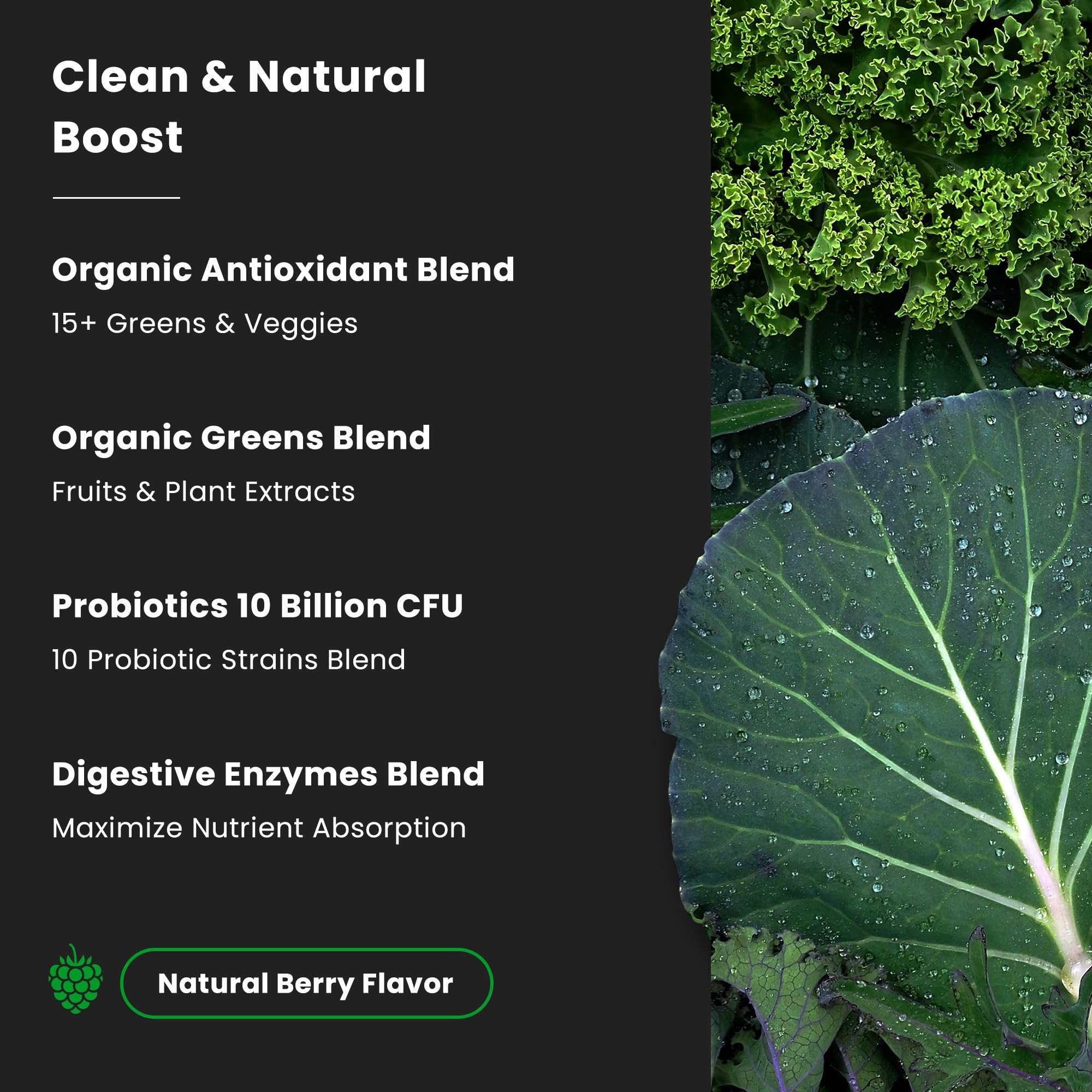 NutraChamps Super Greens Powder Premium Superfood | 20+ Organic Green Veggie Whole Foods | Wheat Grass, Spirulina, Chlorella | Antioxidant, Digestive Enzyme & Probiotic Blends (9.0 Oz, Berry)
