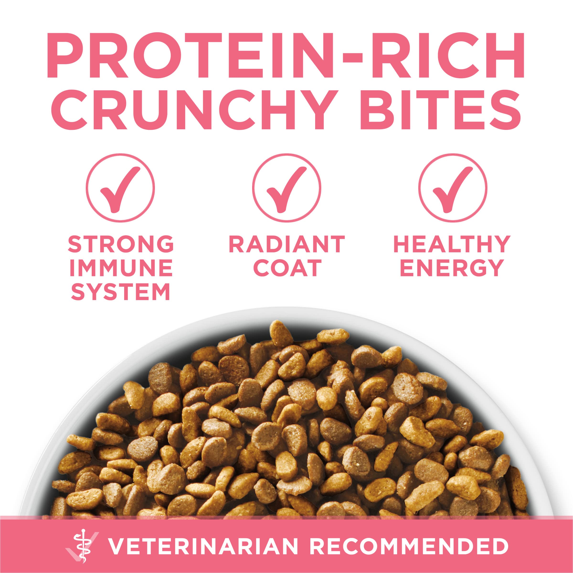 Purina ONE High Protein, Natural Dry Kitten Food, +Plus Healthy Kitten Formula - 7 lb. Bag