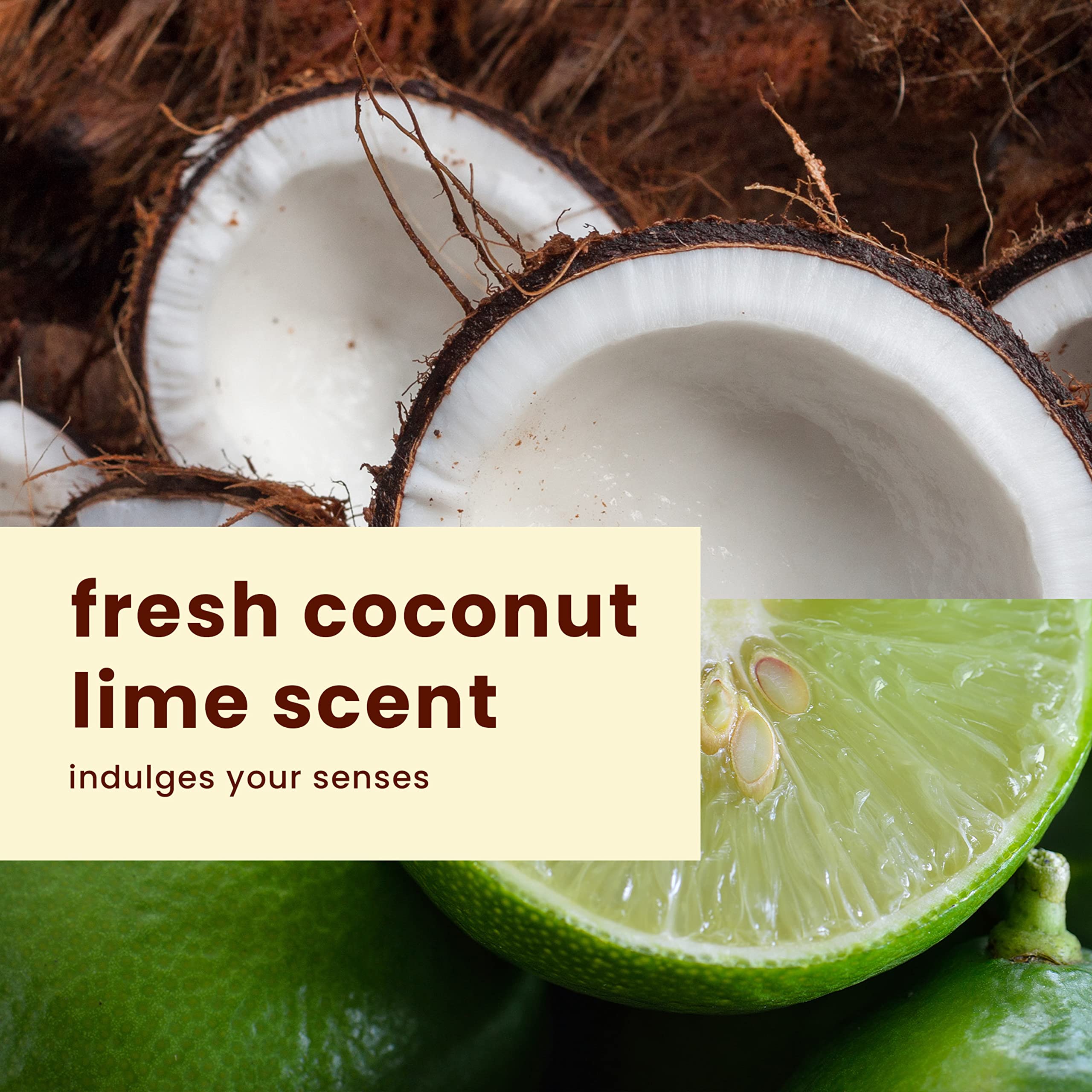 Hawaiian Tropic Lime Coolada After Sun Lotion | After Sun Care, Skin Care, Daily Moisturizing Lotion with Aloe, Cocoa Butter & Shea Butter, 16oz each Twin Pack