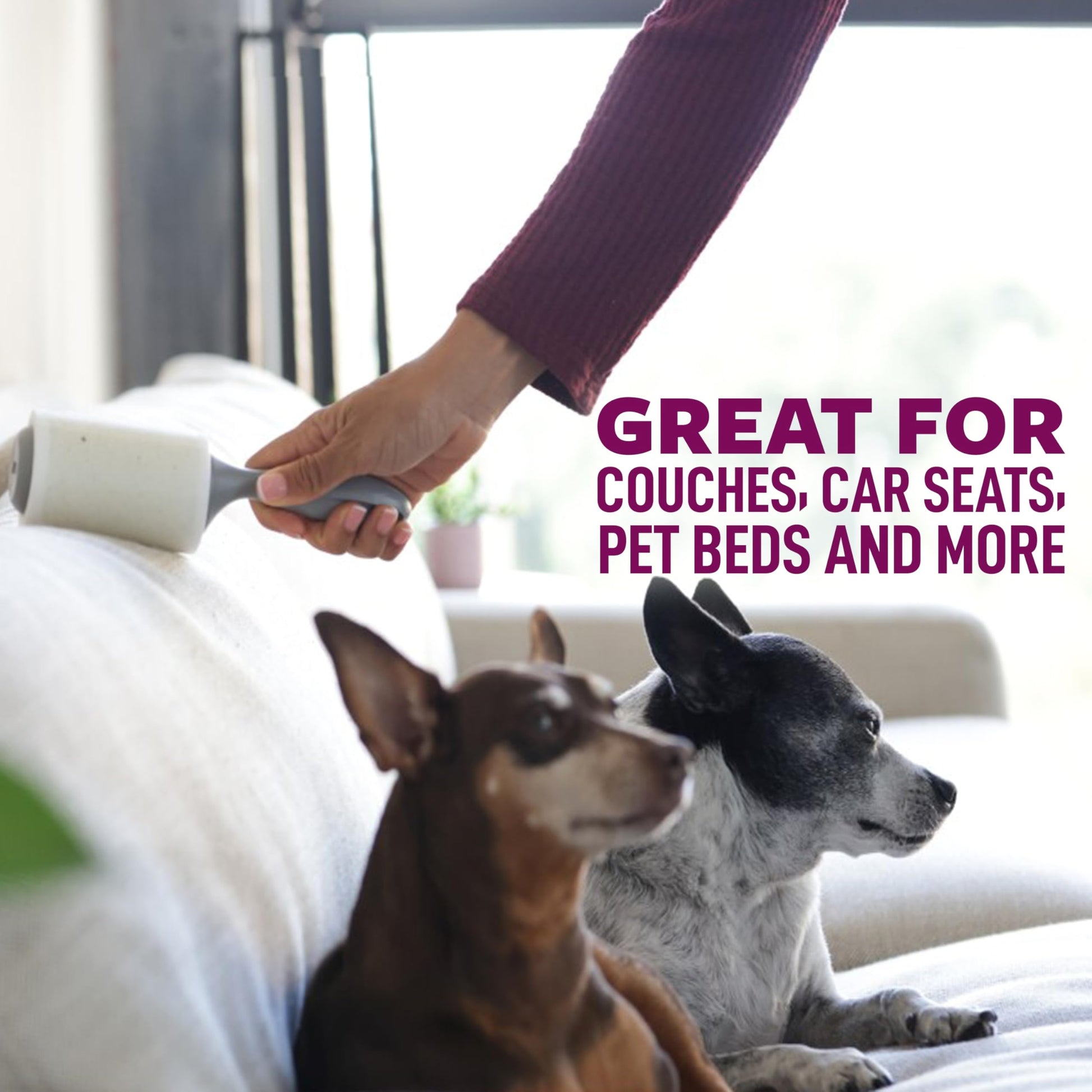 Scotch-Brite Pet Hair Pickup Extra Sticky Large Lint Roller, Designed for Removing Fur + Fluff on Couches, Clothes, Dog and Cat Beds, & More, 1 Pack, 60 Easy-Tear Adhesive Sheets Total
