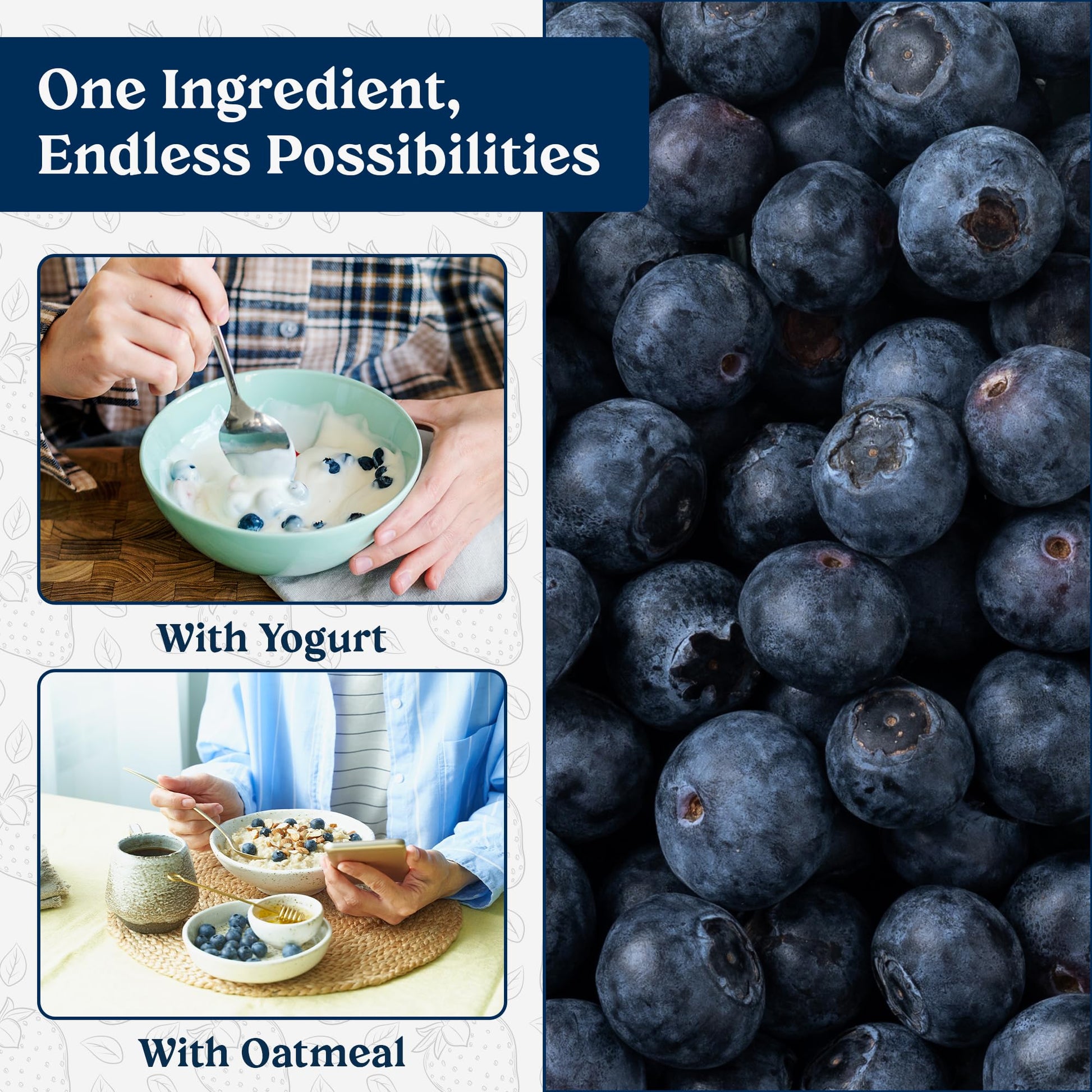 Augason Farms Dried Whole Blueberries Can – Dried Fruit for Baking & Emergency Food Supply – Dehydrated Camping Food with Long Shelf Life for Everyday Meal – 26 Servings