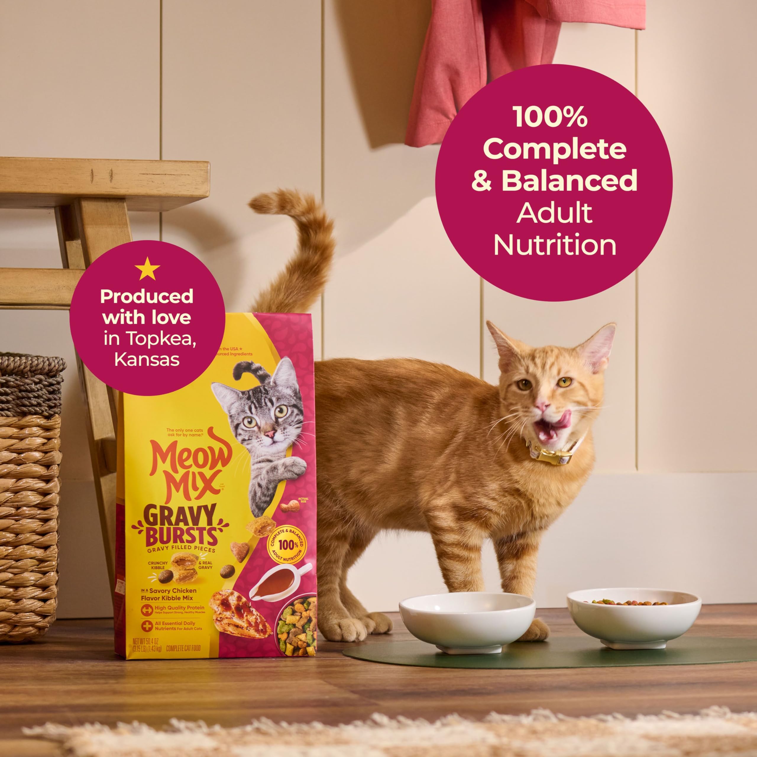 Meow Mix Gravy Bursts Dry Cat Food, Chicken, 3 LB Bag