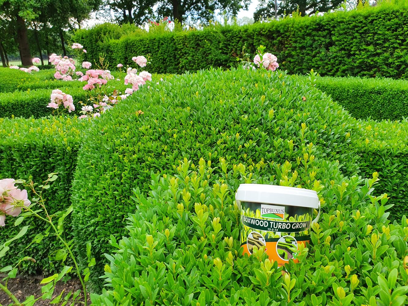 TOPBUXUS Boxwood Turbo Grow - Professional Boxwood Fertilizer - 1 lbs. for 100 sq. ft.
