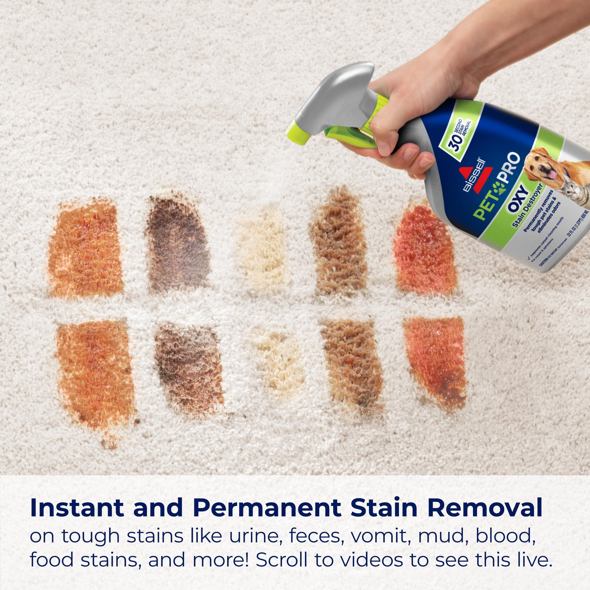 Bissell PET PRO OXY Stain Destroyer for Carpet and Upholstery, 22 oz, 2 pack, 17739