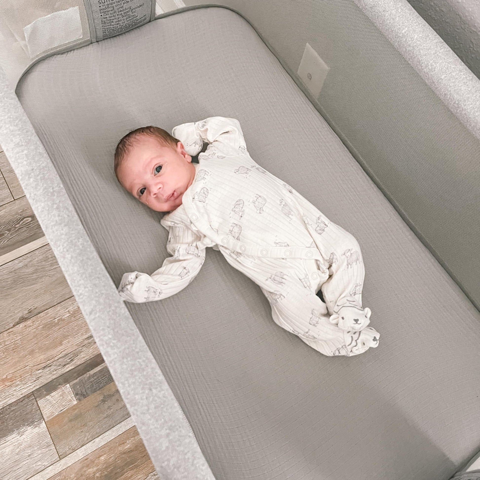 Newton Baby Fitted Sheets for Bassinet & Bedside Sleeper, Essential Bassinet (2-Pack) - Ultra-Breathable, Washable and Ultra-Soft, 100% Muslin, 19" x 35", Grey