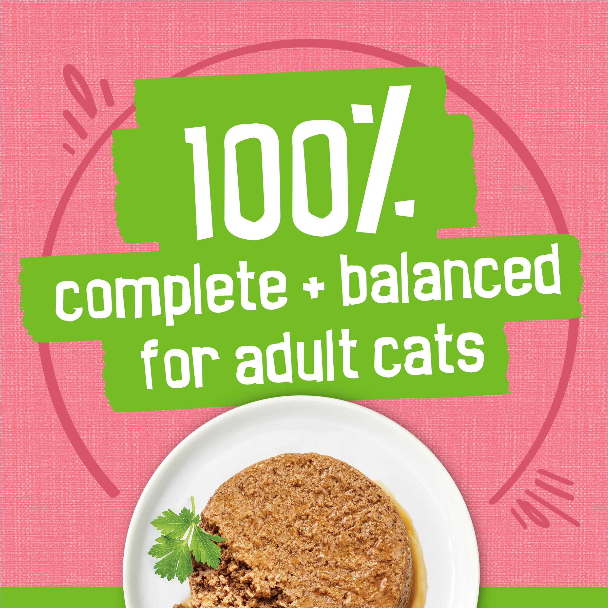 Purina Friskies Wet Cat Food Pate, Pate Salmon Dinner - (Pack of 24) 5.5 oz. Cans