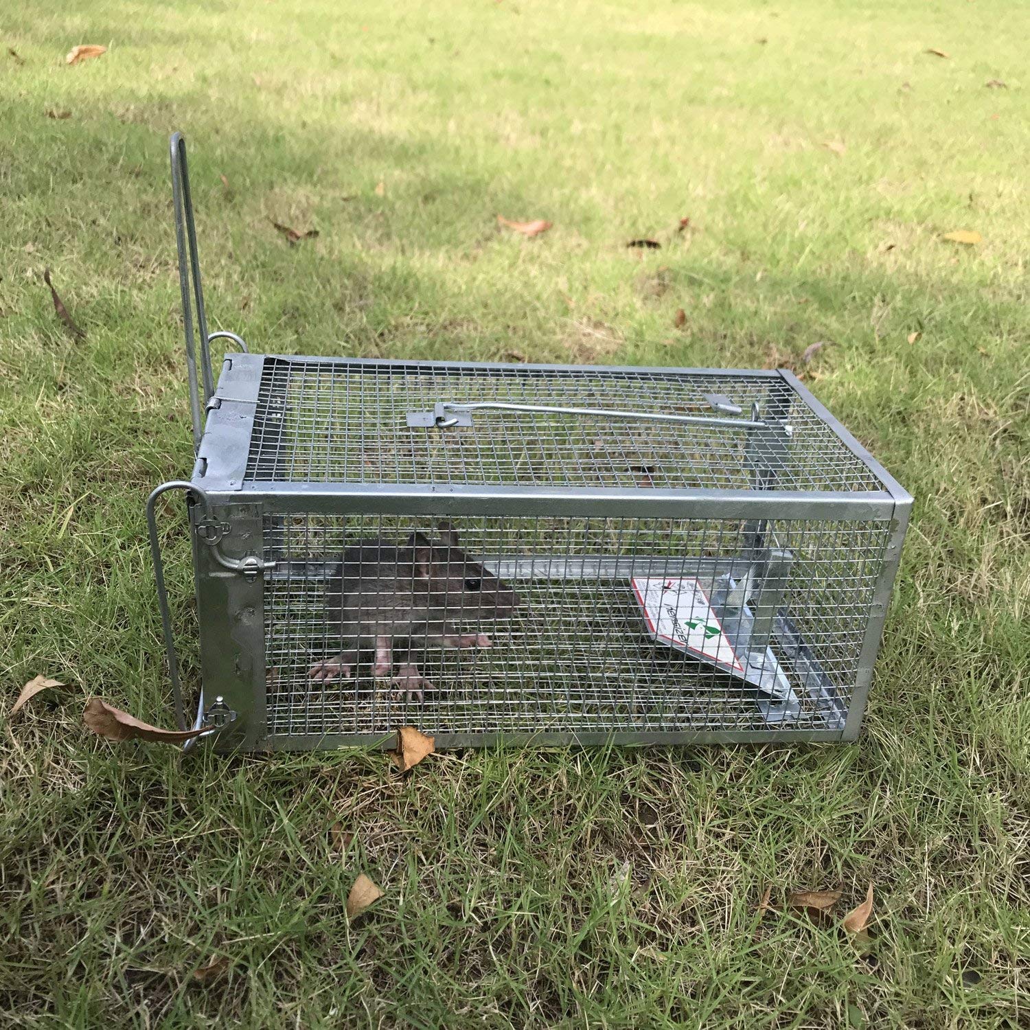 Kensizer Humane Rat Trap, Chipmunk Rodent Trap That Work for Indoor and Outdoor Small Animal - Mouse Voles Hamsters Live Cage Catch and Release 1-Pack Small 10.5" L x 5.5" W x 4.5" H