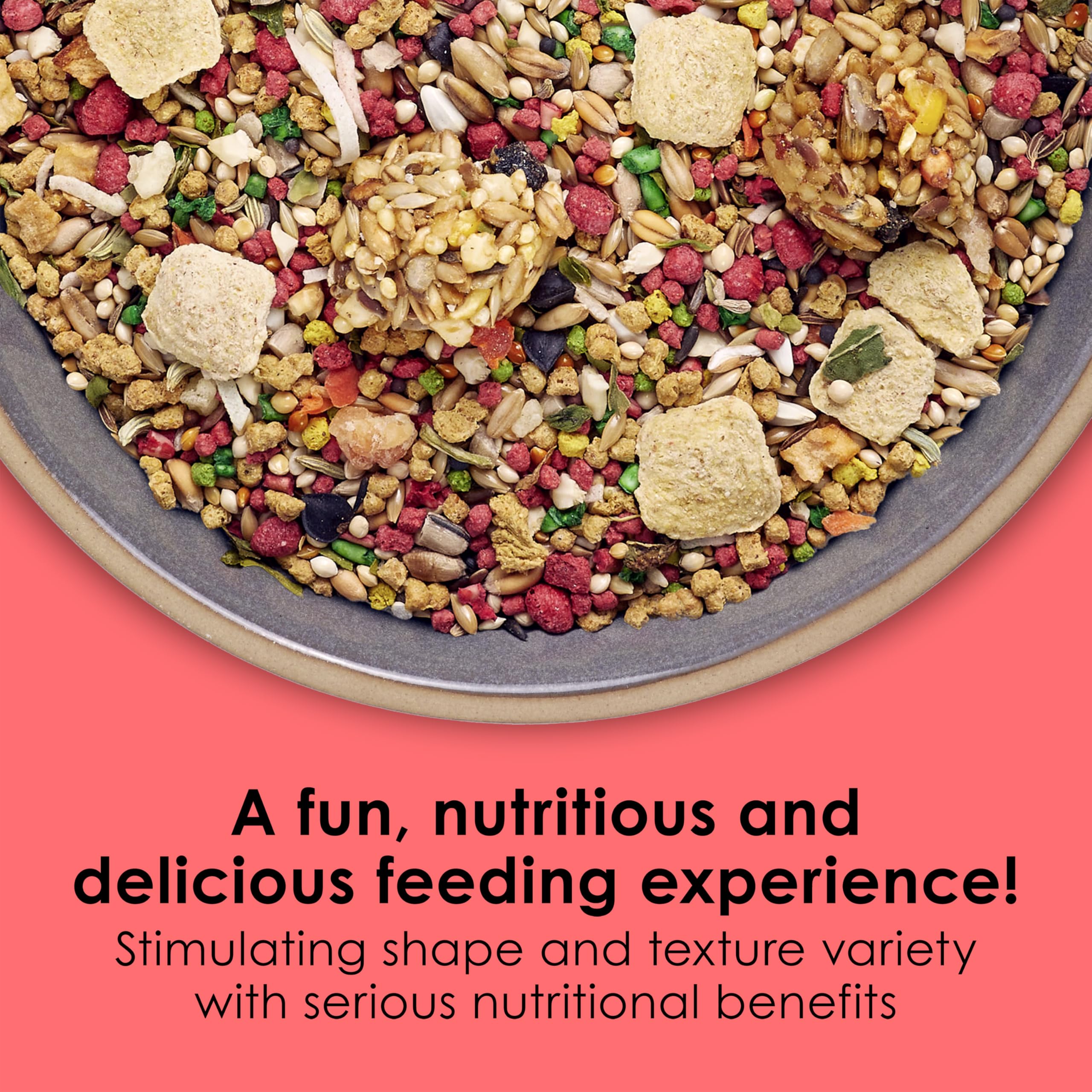 Kaytee Fiesta Parakeet Food, Nutritious and Fun Blend, Supports Skin, Feather, Digestion, Brain and Heart Health, 2 pounds